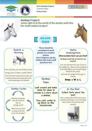 Click to view Resource 104282 Donkey Project!